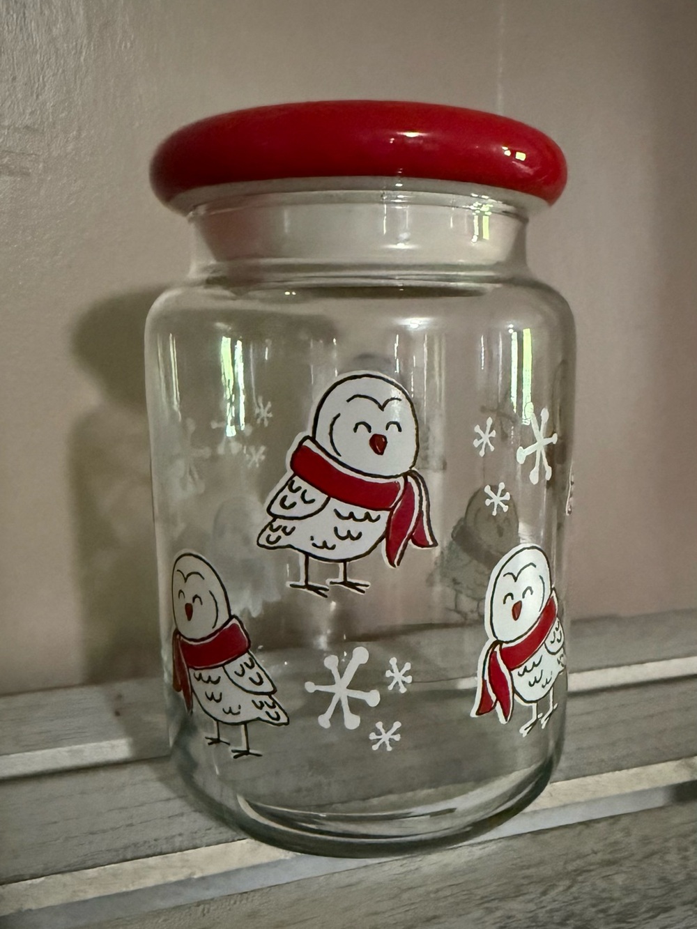 Cute Winter Owl Glass Jar with Red Lid